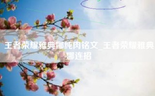 王者荣耀雅典娜纯肉铭文_王者荣耀雅典娜连招