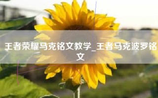 王者荣耀马克铭文教学_王者马克波罗铭文
