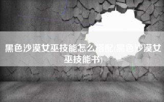 黑色沙漠女巫技能怎么搭配(黑色沙漠女巫技能书)