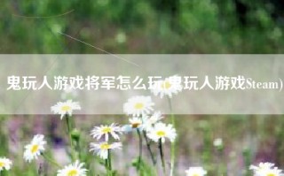 鬼玩人游戏将军怎么玩(鬼玩人游戏Steam)