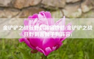 金铲铲之战狂野刺阵容攻略(金铲铲之战狂野刺客狮子狗阵容)