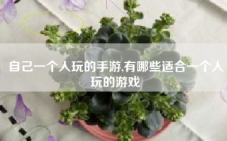 自己一个人玩的手游,有哪些适合一个人玩的游戏