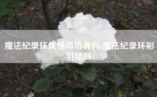 魔法纪录环忧值得培养吗(魔法纪录环彩羽结局)