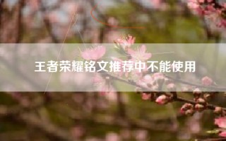 王者荣耀铭文推荐中不能使用