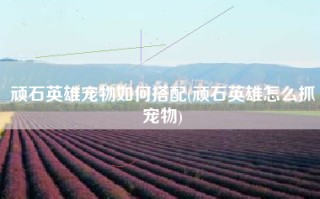 顽石英雄宠物如何搭配(顽石英雄怎么抓宠物)