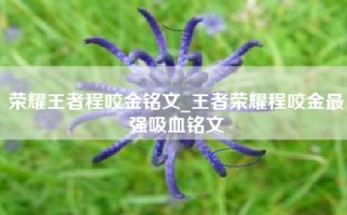荣耀王者程咬金铭文_王者荣耀程咬金最强吸血铭文