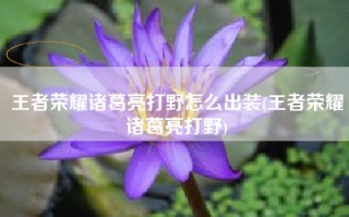 王者荣耀诸葛亮打野怎么出装(王者荣耀诸葛亮打野)