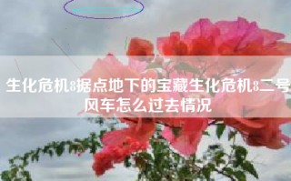 生化危机8据点地下的宝藏生化危机8二号风车怎么过去情况