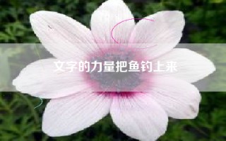 文字的力量把鱼钓上来