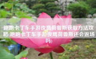 跑跑卡丁车手游夜鹰荷鲁斯获取方法攻略(跑跑卡丁车手游夜鹰荷鲁斯还会返场吗)
