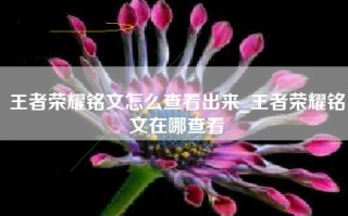 王者荣耀铭文怎么查看出来_王者荣耀铭文在哪查看