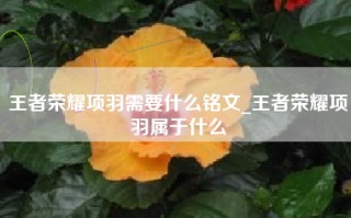 王者荣耀项羽需要什么铭文_王者荣耀项羽属于什么