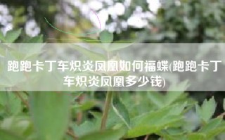跑跑卡丁车炽炎凤凰如何福蝶(跑跑卡丁车炽炎凤凰多少钱)