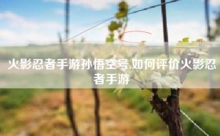 火影忍者手游孙悟空号,如何评价火影忍者手游