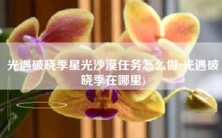 光遇破晓季星光沙漠任务怎么做(光遇破晓季在哪里)