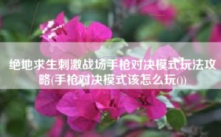 绝地求生刺激战场手枪对决模式玩法攻略(手枪对决模式该怎么玩())