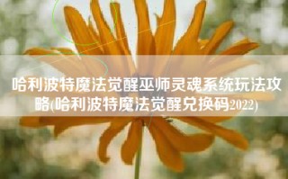哈利波特魔法觉醒巫师灵魂系统玩法攻略(哈利波特魔法觉醒兑换码2022)