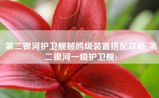 第二银河护卫舰贼鸥级装置搭配攻略(第二银河一级护卫舰)