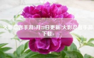火影忍者手游5月28日更新(火影忍者手游下载)