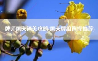 牌师屠夫通关攻略(屠夫牌组选择推荐)