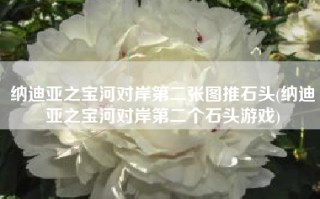 纳迪亚之宝河对岸第二张图推石头(纳迪亚之宝河对岸第二个石头游戏)