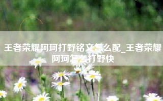 王者荣耀阿珂打野铭文怎么配_王者荣耀阿珂怎么打野快