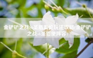 金铲铲之战S6圣盾盖伦玩法攻略(金铲铲之战s6圣盾使阵容)