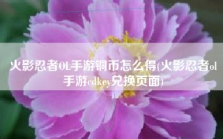 火影忍者OL手游铜币怎么得(火影忍者ol手游cdkey兑换页面)