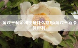 游戏王刹帝利梗是什么意思(游戏王新卡刹帝利)