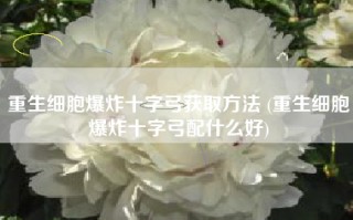 重生细胞爆炸十字弓获取方法 (重生细胞爆炸十字弓配什么好)