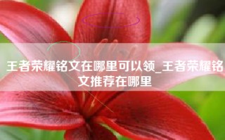 王者荣耀铭文在哪里可以领_王者荣耀铭文推荐在哪里