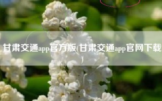 甘肃交通app官方版(甘肃交通app官网下载)