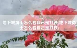 地下城勇士怎么看自己是打铁(地下城勇士怎么看自己是打铁)