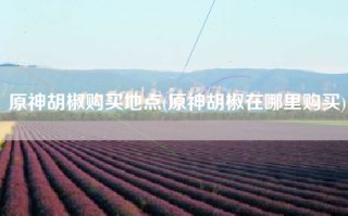 原神胡椒购买地点(原神胡椒在哪里购买)
