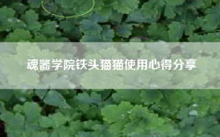 魂器学院铁头猫猫使用心得分享