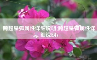 跨越星弧属性详细说明(跨越星弧属性详细说明)