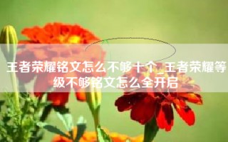 王者荣耀铭文怎么不够十个_王者荣耀等级不够铭文怎么全开启