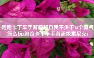 跑跑卡丁车手游超越自我不少于15个氮气怎么玩(跑跑卡丁车手游超级索尼克)