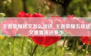 王者荣耀铭文怎么返还_王者荣耀五级铭文重置返还多少