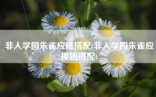 非人学园朱雀应援搭配(非人学园朱雀应援团搭配)