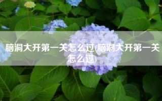 脑洞大开第一关怎么过(脑洞大开第一关怎么过)