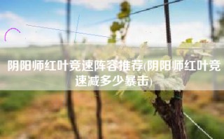 阴阳师红叶竞速阵容推荐(阴阳师红叶竞速减多少暴击)