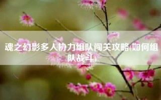 魂之幻影多人协力组队闯关攻略(如何组队战斗)