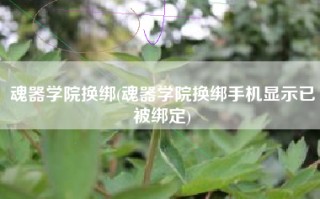 魂器学院换绑(魂器学院换绑手机显示已被绑定)