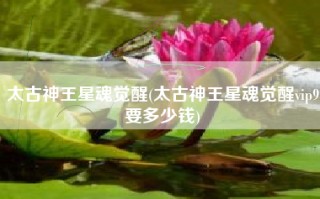 太古神王星魂觉醒(太古神王星魂觉醒vip9要多少钱)