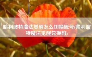 哈利波特魔法觉醒怎么切换账号(哈利波特魔法觉醒兑换码)