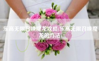 乐高无限召唤魔龙攻略(乐高无限召唤魔龙的方法)