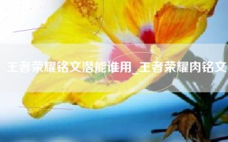 王者荣耀铭文潜能谁用_王者荣耀肉铭文