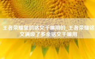 王者荣耀里的铭文干嘛用的_王者荣耀铭文满级了多余铭文干嘛用