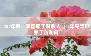 2019年第一季国服手游收入,2020年完美世界手游如何